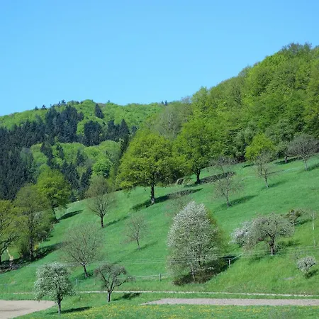 Braun - Grassertblick Apartament Seelbach (Baden-Wurttemberg)