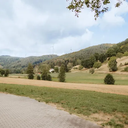 Appartamento Braun - Grassertblick Seelbach (Baden-Wurttemberg)